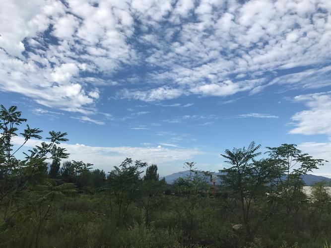 明天平阳县天气预报（美好晴天迎接周末）