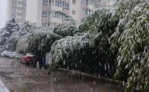 鄂西北冬天天气真冷啊！雨夹雪要来了，最低气温跌破零度！