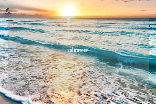 volunteer