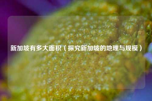新加坡有多大面积（探究新加坡的地理与规模）