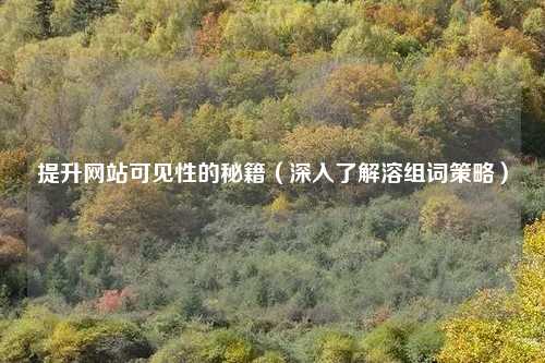 提升网站可见性的秘籍（深入了解溶组词策略）