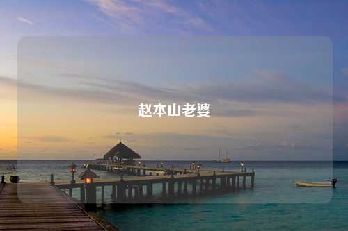 赵本山老婆