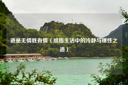 道是无情胜有情（感悟生活中的冷静与理性之道）